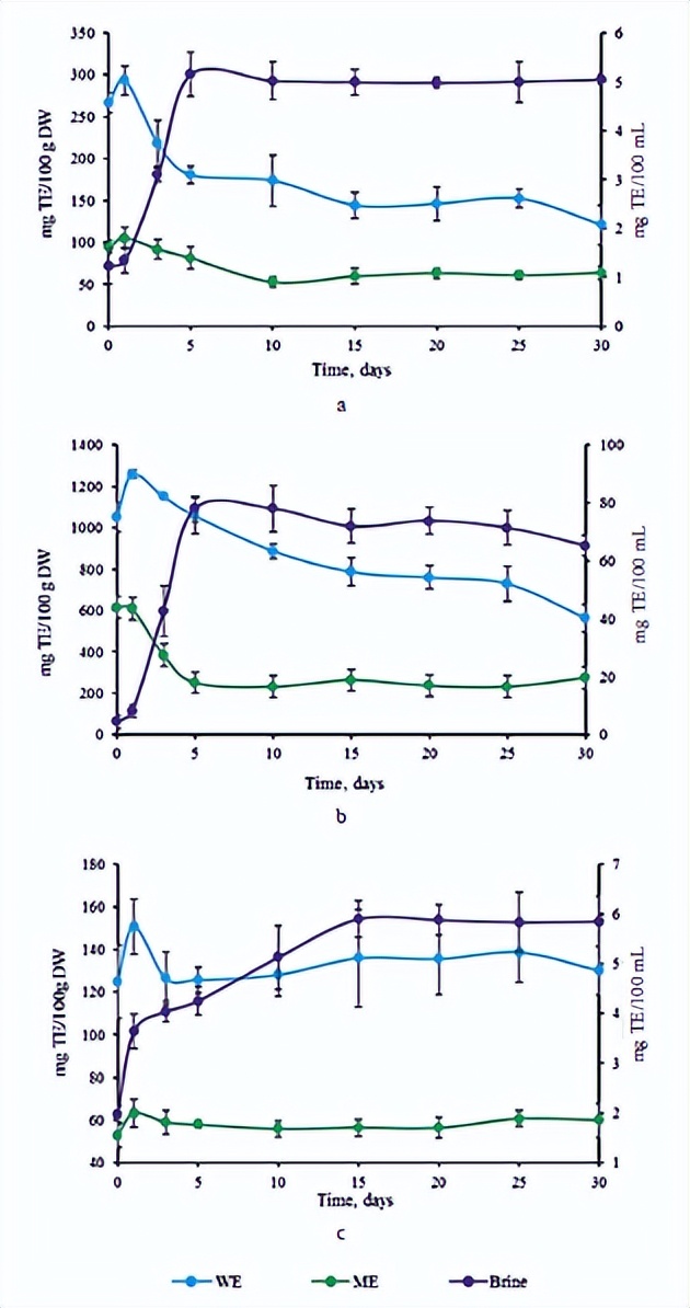 大白菜乳酸菌发酵,白甘蓝与紫甘蓝