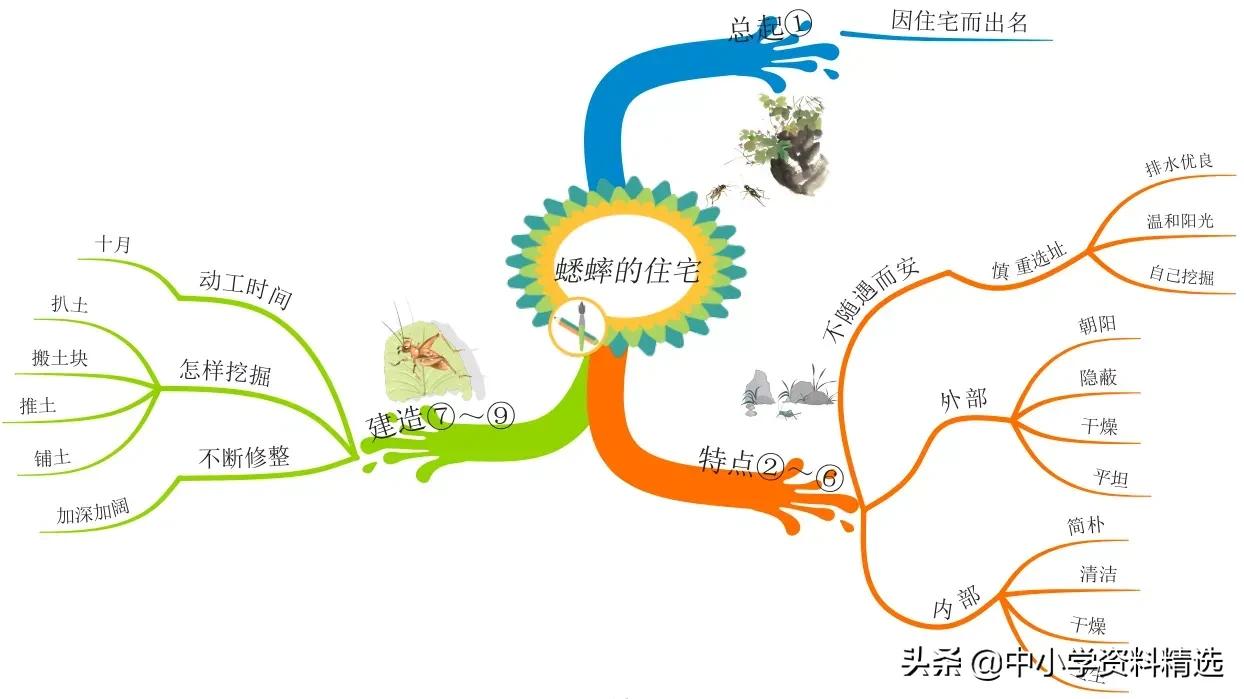 怎么画思维导图语文四年级上册,四年级思维导图语文简单漂亮上册