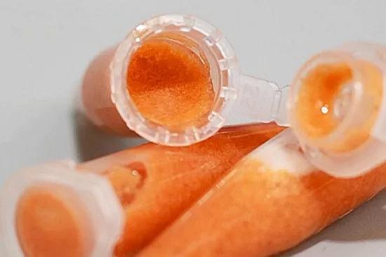 热带鱼观赏鱼养殖必知技巧,新手养热带鱼养什么鱼比较好