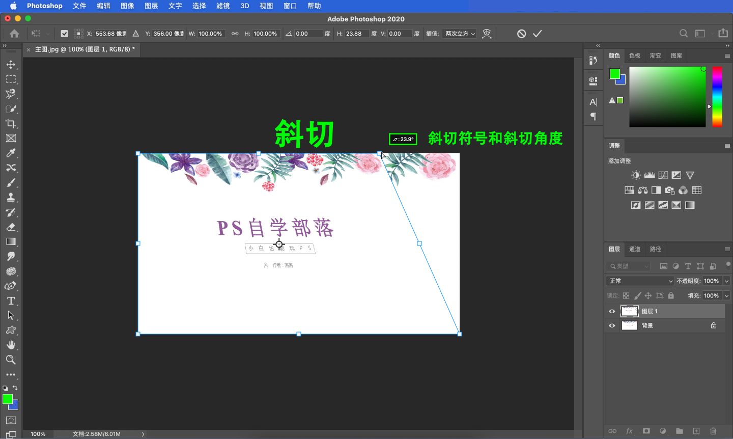 ps随意变换图形形状怎么设置,ps教程零基础学习第19课形状工具