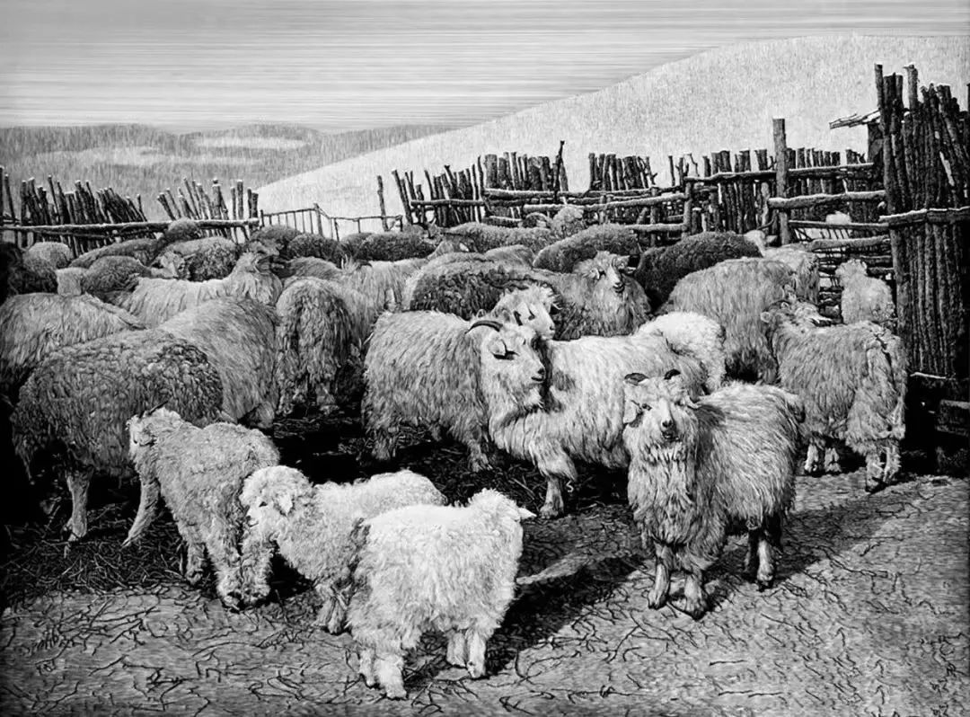 【花儿文化】我上北京唱花儿（上）