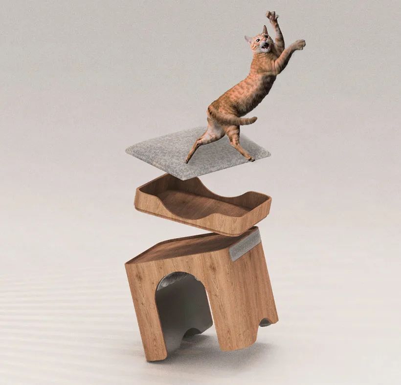 宠物人性化设计,宠物产品的情感化设计