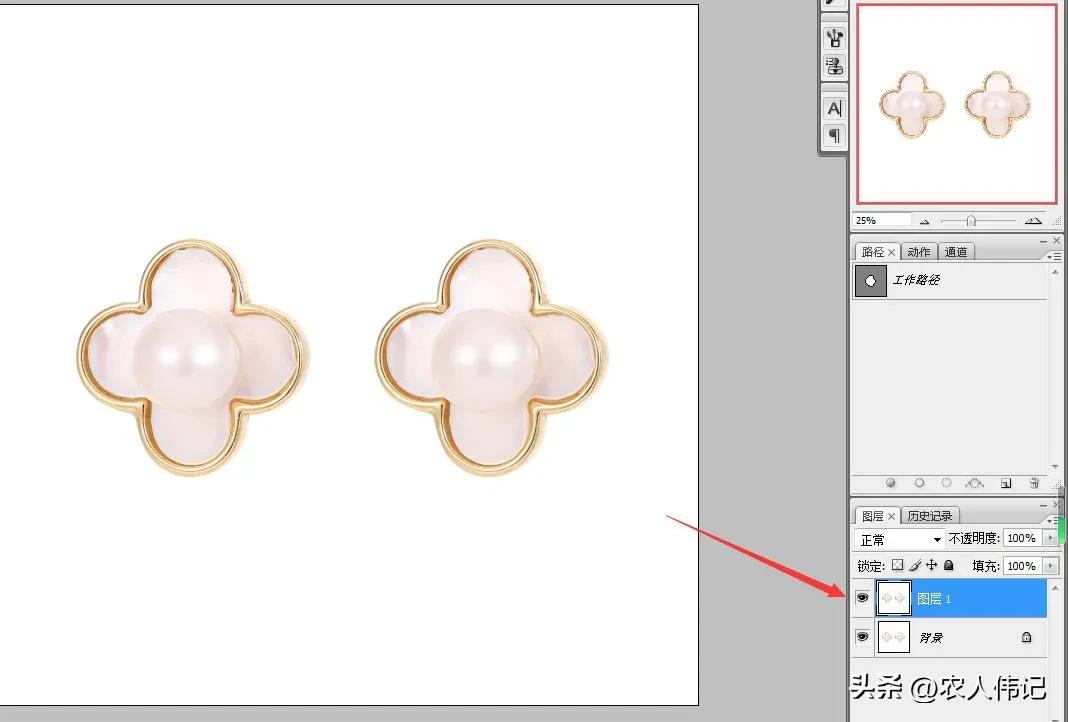 ps白底图怎么调整大小快捷键,ps中如何快速给复杂图片换底色