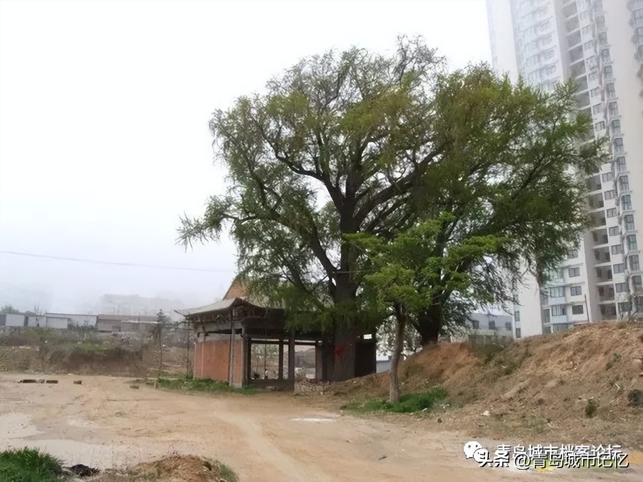 话说错埠岭“于姑庵”（下篇）