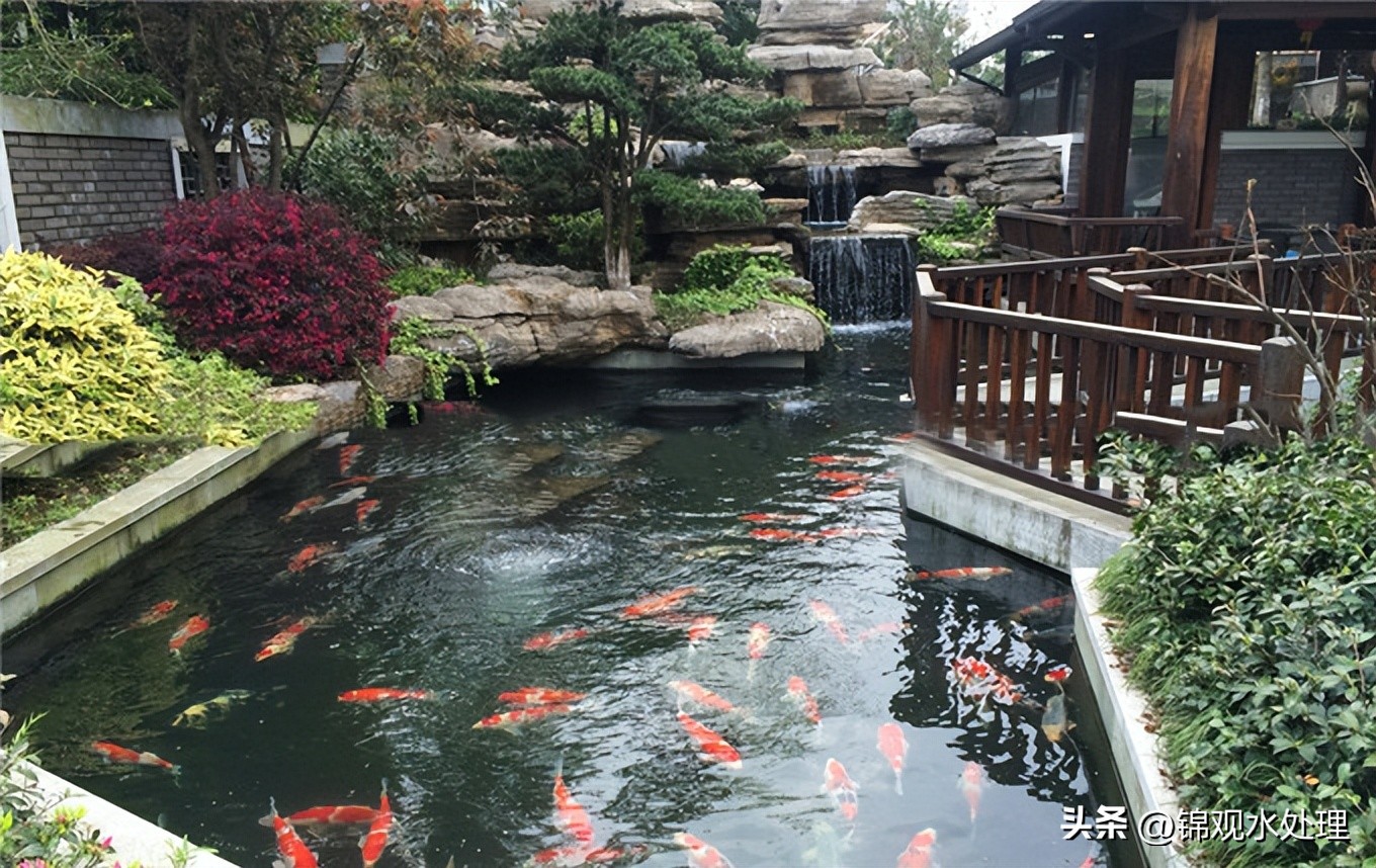 最简单高效的鱼池过滤系统设计图,室外鱼池自制最简单的过滤系统