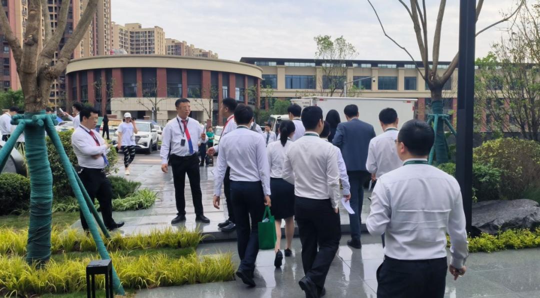 重庆楼市的降价潮,重庆楼盘为什么要三分钟抢售