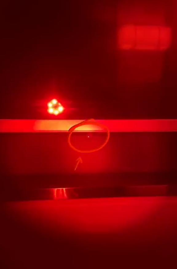 男子*拍偷**51对酒店旅客的*行为性**，不雅视频满天飞，隐私保护在哪！