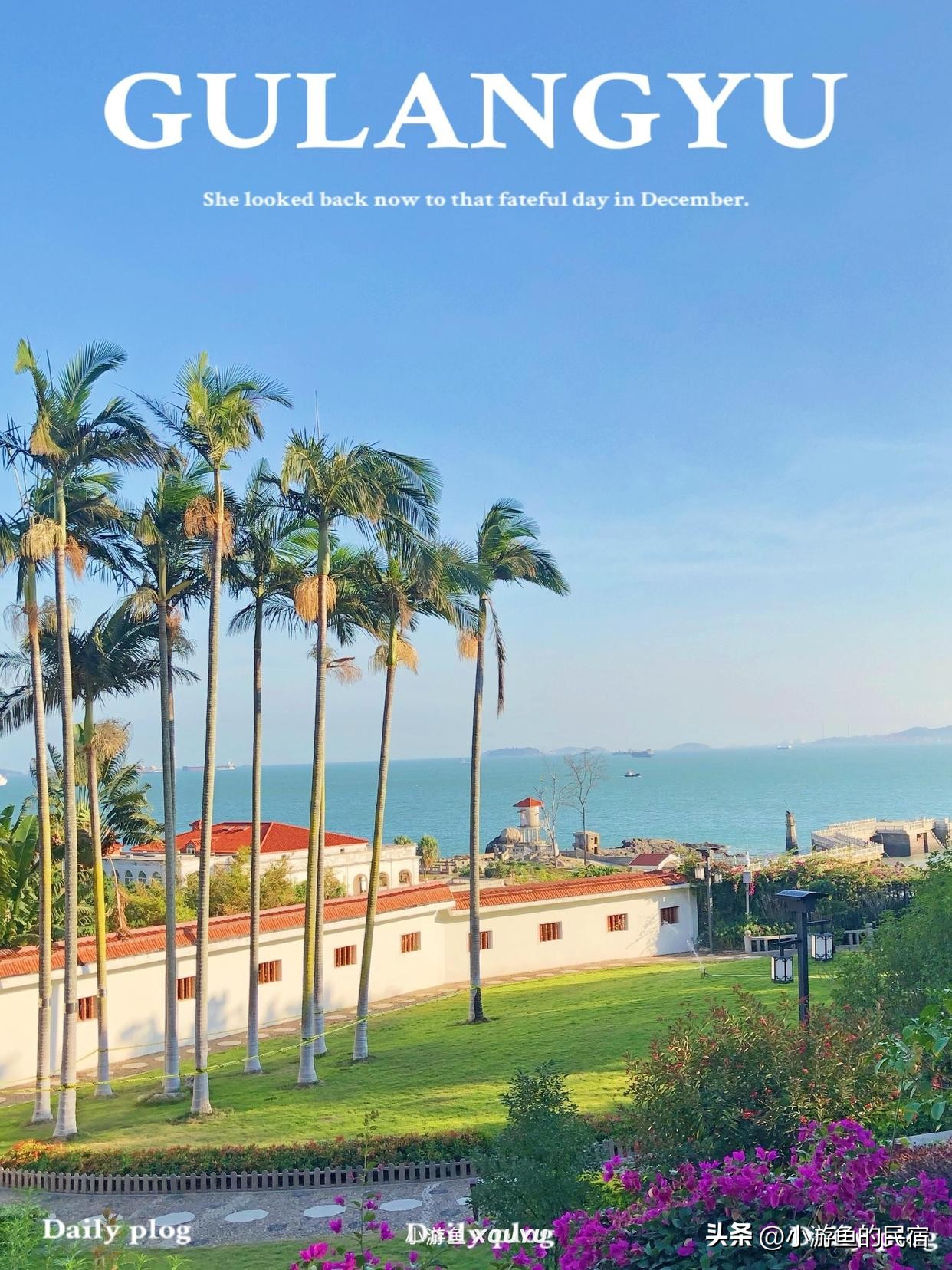 鼓浪屿不收费的项目,鼓浪屿不花钱攻略