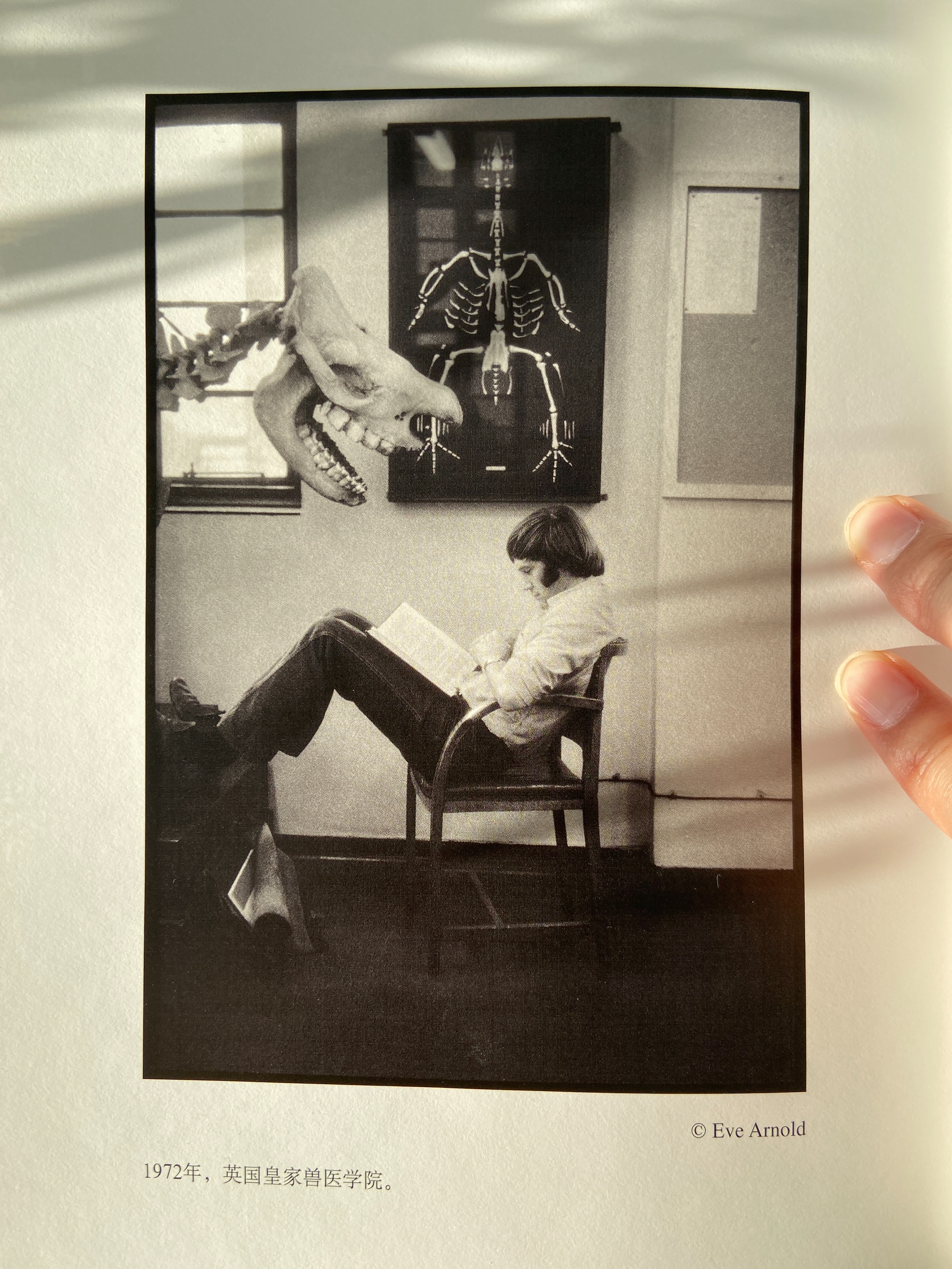 一本摄影画册阅读,读一本摄影作品集