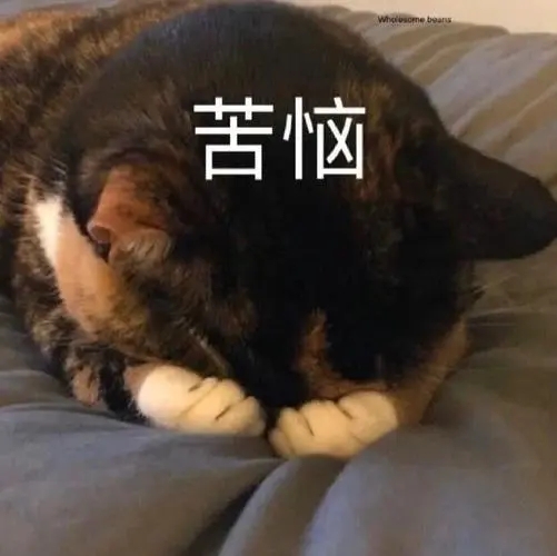 皮表带怎样取下不伤带,表带粘胶怎么办