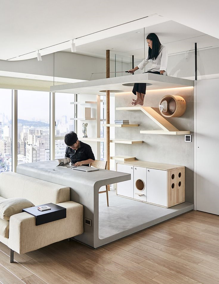 如何给宠物做一个温暖舒适的家,家有小宠宠物怎么养好