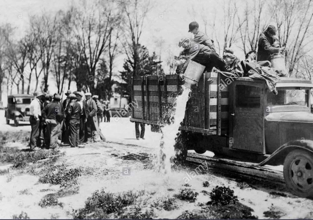 喝奶简史：从人乳到奶粉，人类为何执着于这白色的液体？