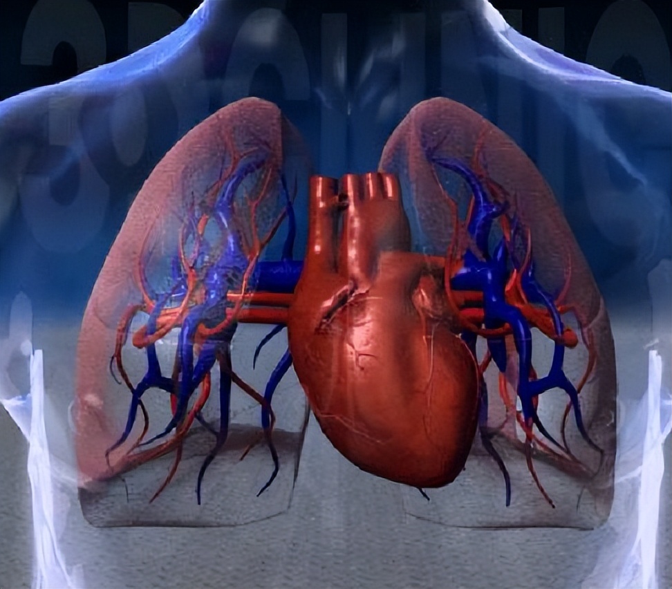 80岁老人有生活质量吗,老年人还可以拥有幸福生活