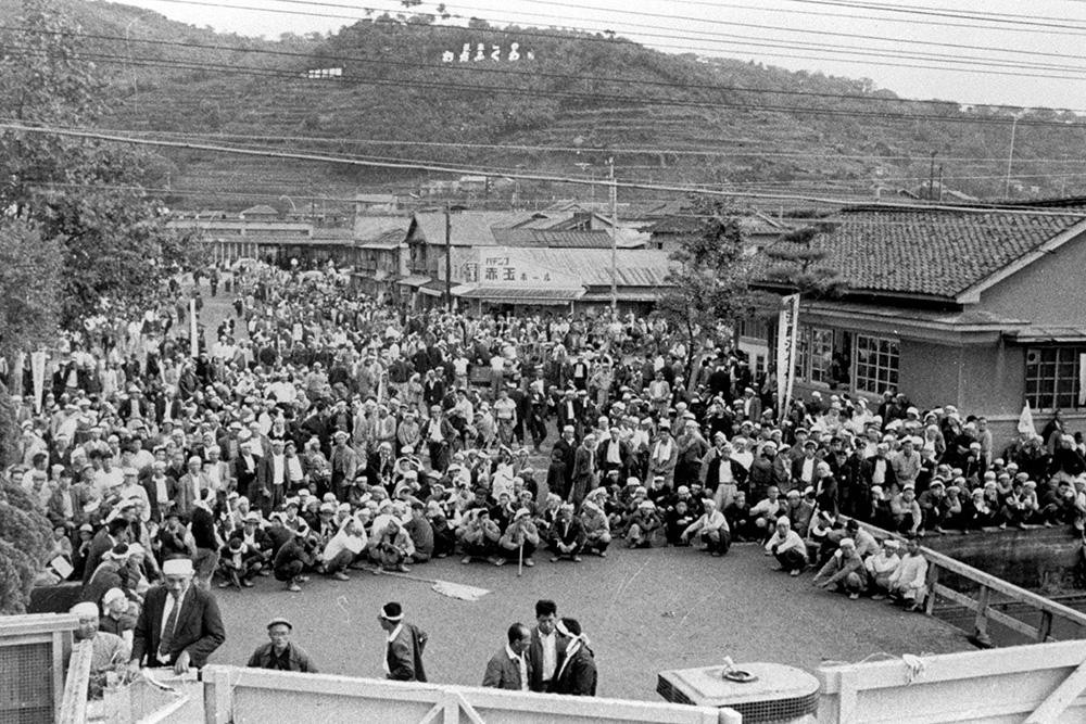 日本猫跳海,日本猫跳海事件