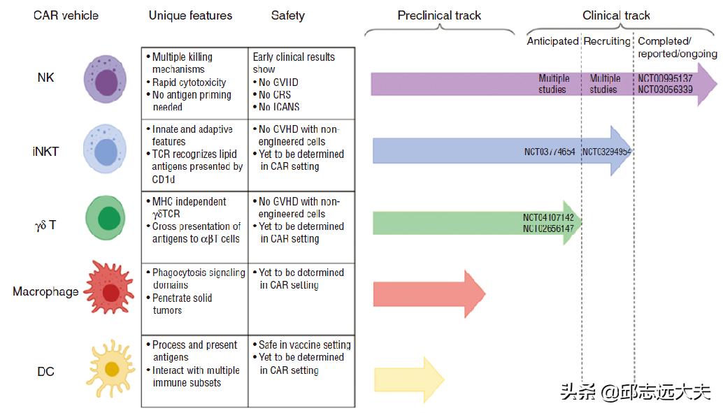无所不CAR：从CAR-T、CAR-NK到CAR-M