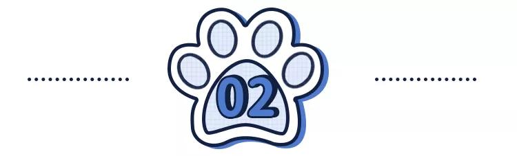 哪种猫招财好养活,哪种猫最招财又好养