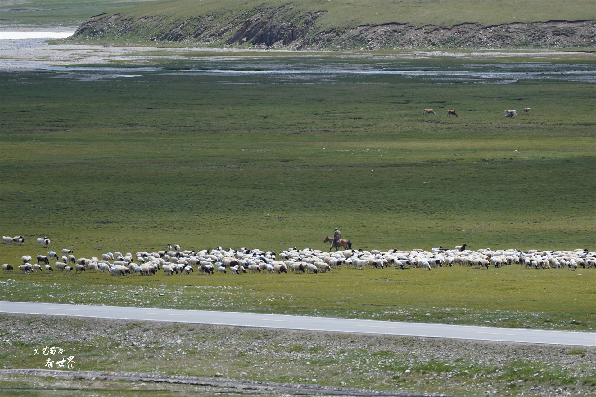 为何说*疆新**旅游一定要去巴音布鲁克草原？而且景区最好选择傍晚去