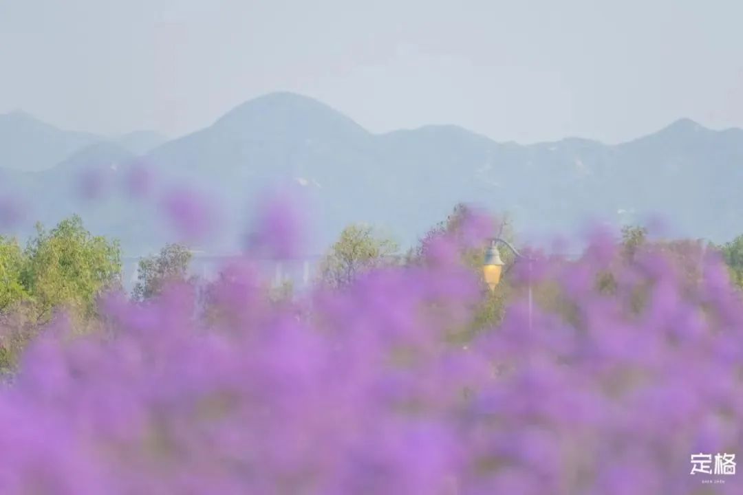 深圳10条海岸线,深圳十大凶险海岸线