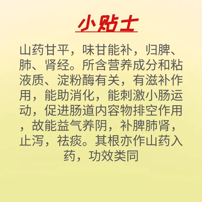 手碰到山药为什么会很痒