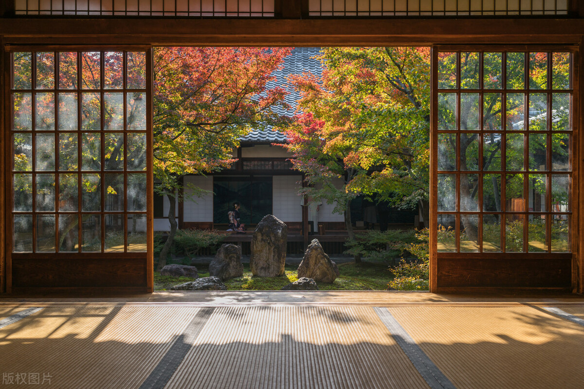 日本入境核酸检测最新要求时间,现在入境日本需要核酸证明吗