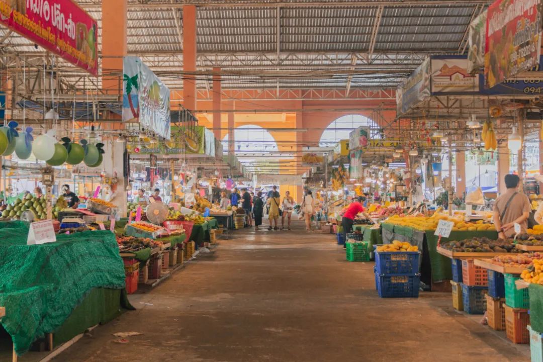 鍘绘嘲鍥芥浖璋峰拰鑺彁闆呯殑鏀荤暐,鍘绘嘲鍥界帺杞浖璋疯姯鎻愰泤