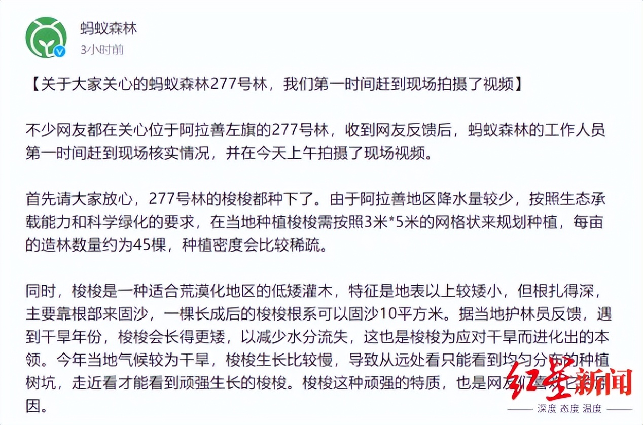 阿里蚂蚁森林怎么赚钱的,蚂蚁森林真的是阿里巴巴掏钱吗