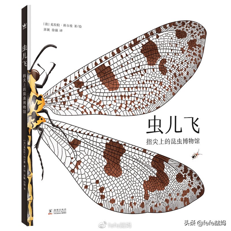 关于小动物的书推荐,好书推荐动物书单