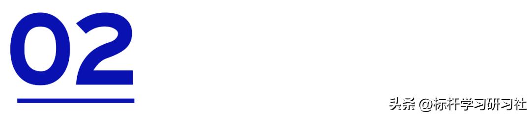 靠一辆玩具车，骗走300亿！扬言干掉马斯克的人，把自己送进监狱