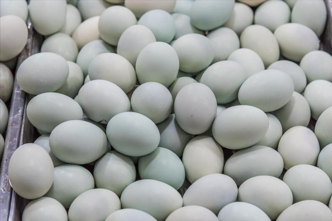 盐水腌咸鸭蛋步骤视频,腌咸鸭蛋不用盐水腌