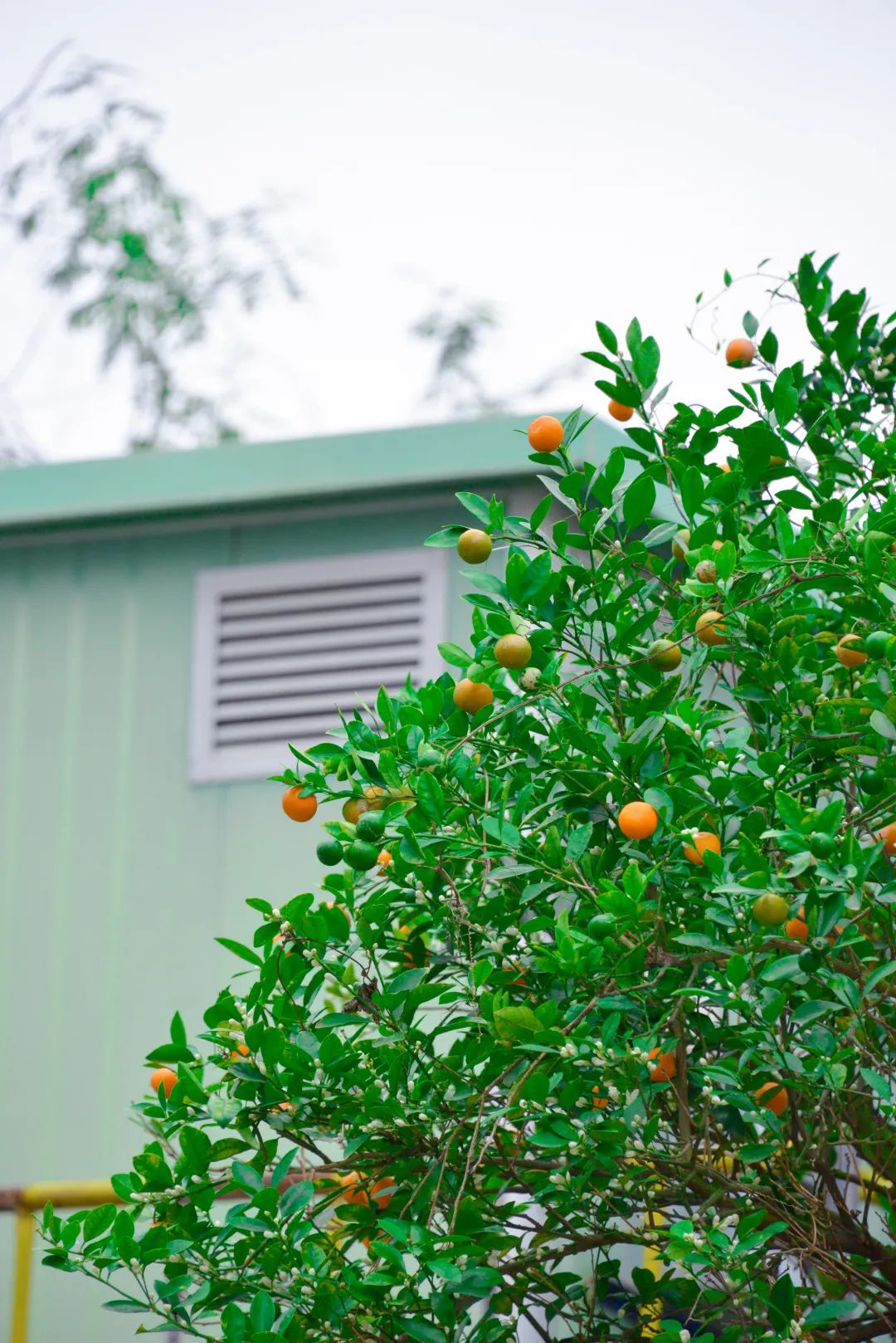 深圳市携创高级技工学校学费2021,深圳携创高级技工学校校区