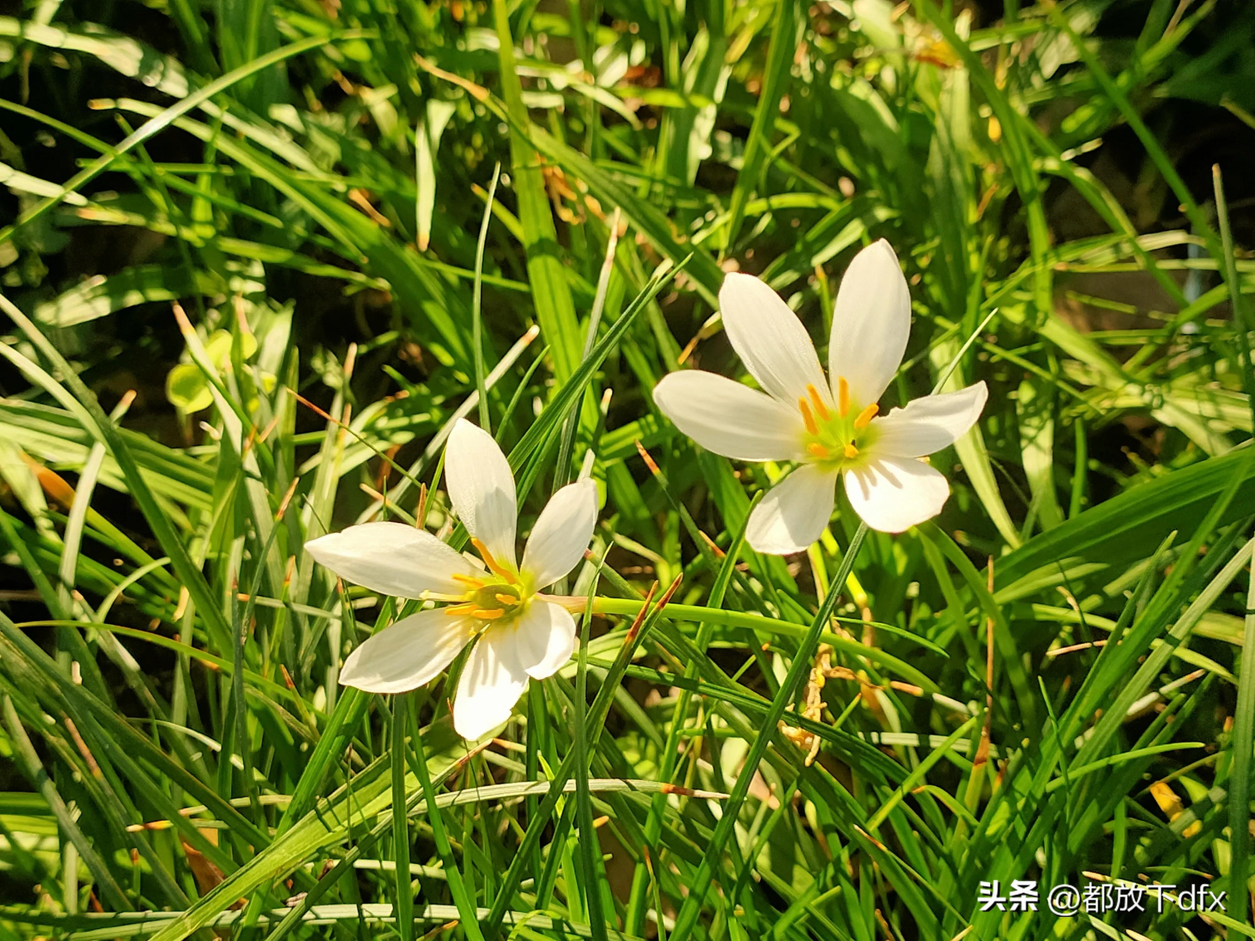 分道扬镳,各走各的路,也挺好的