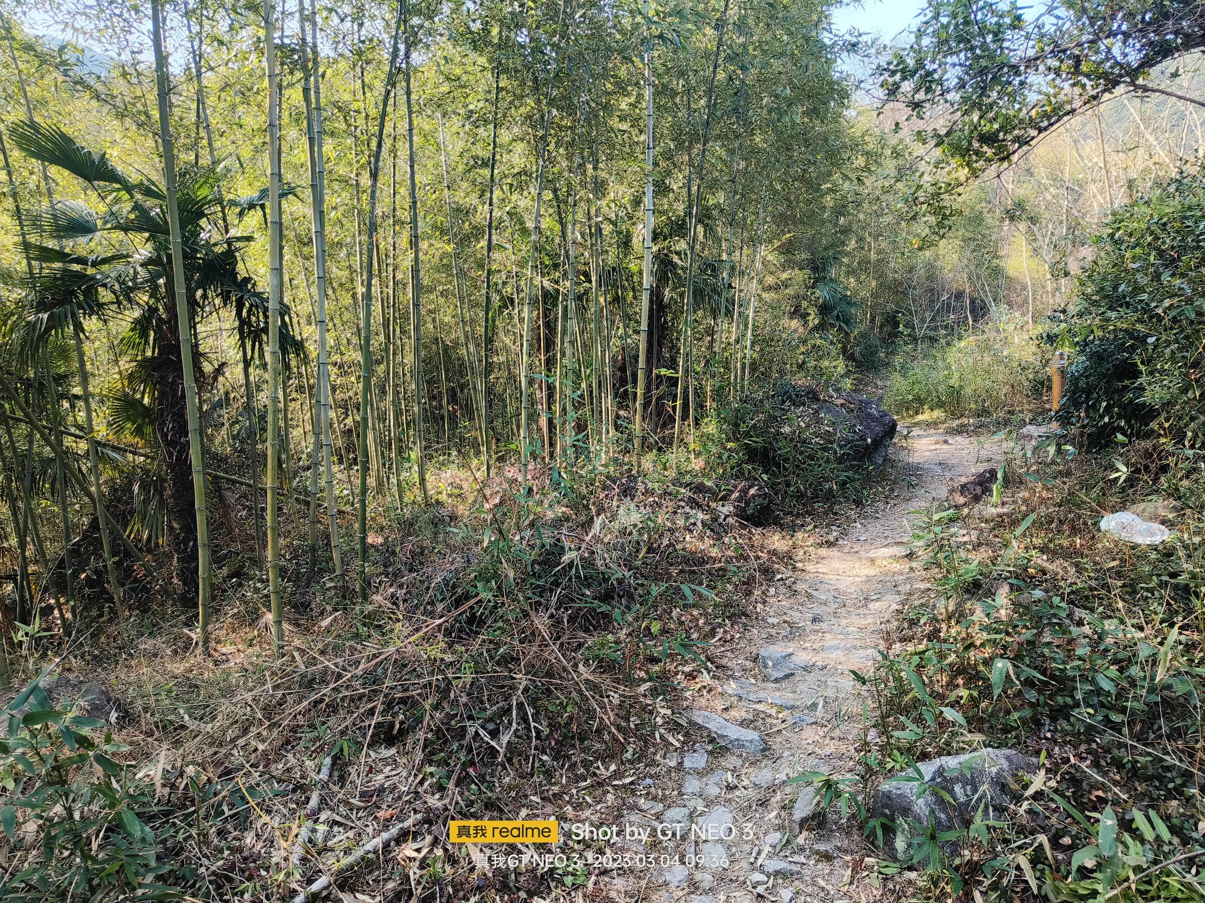 宁波五龙潭攻略,宁波五龙潭湖