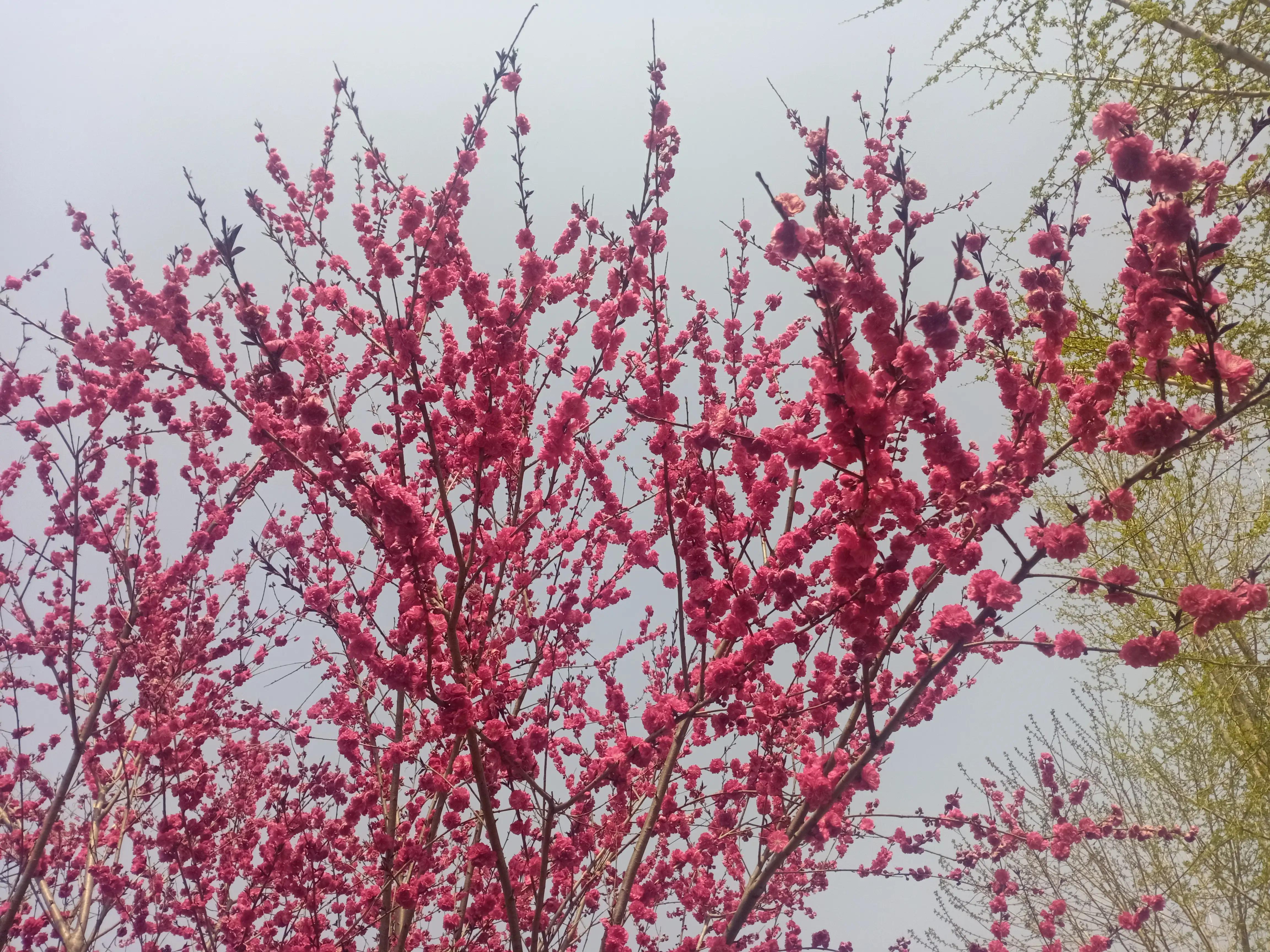 生气就用暴力解决,当你生气了你会怎么发泄