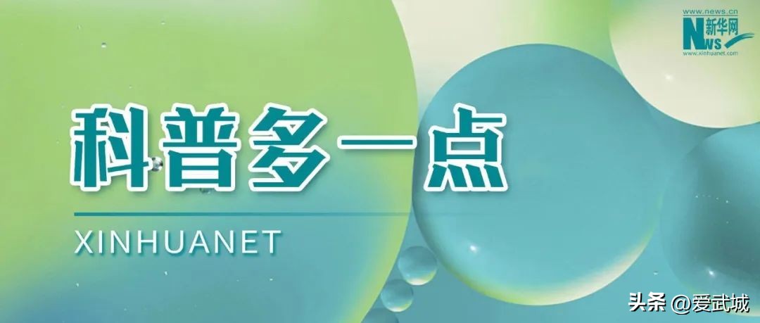 吃蓝莓和吃胡萝卜哪个对视力更好,缓解视力吃蓝莓叶黄素有效果吗