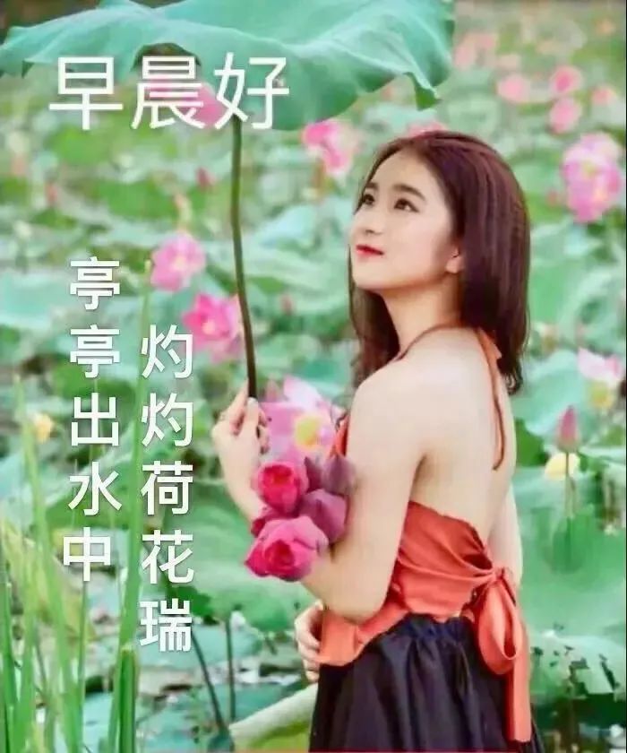 特别漂亮的早上好图片祝福问候语,早上好问候语祝福语带图片大全