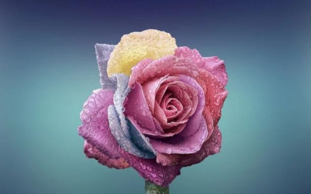 人为什么大多到中年后才会成功,中年人要学会什么才能成功