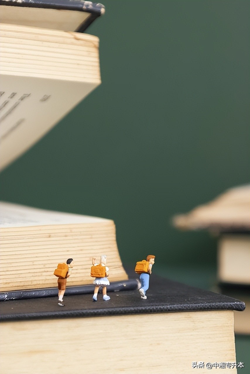 专升本如何提高学习效率,专升本高效学习方法