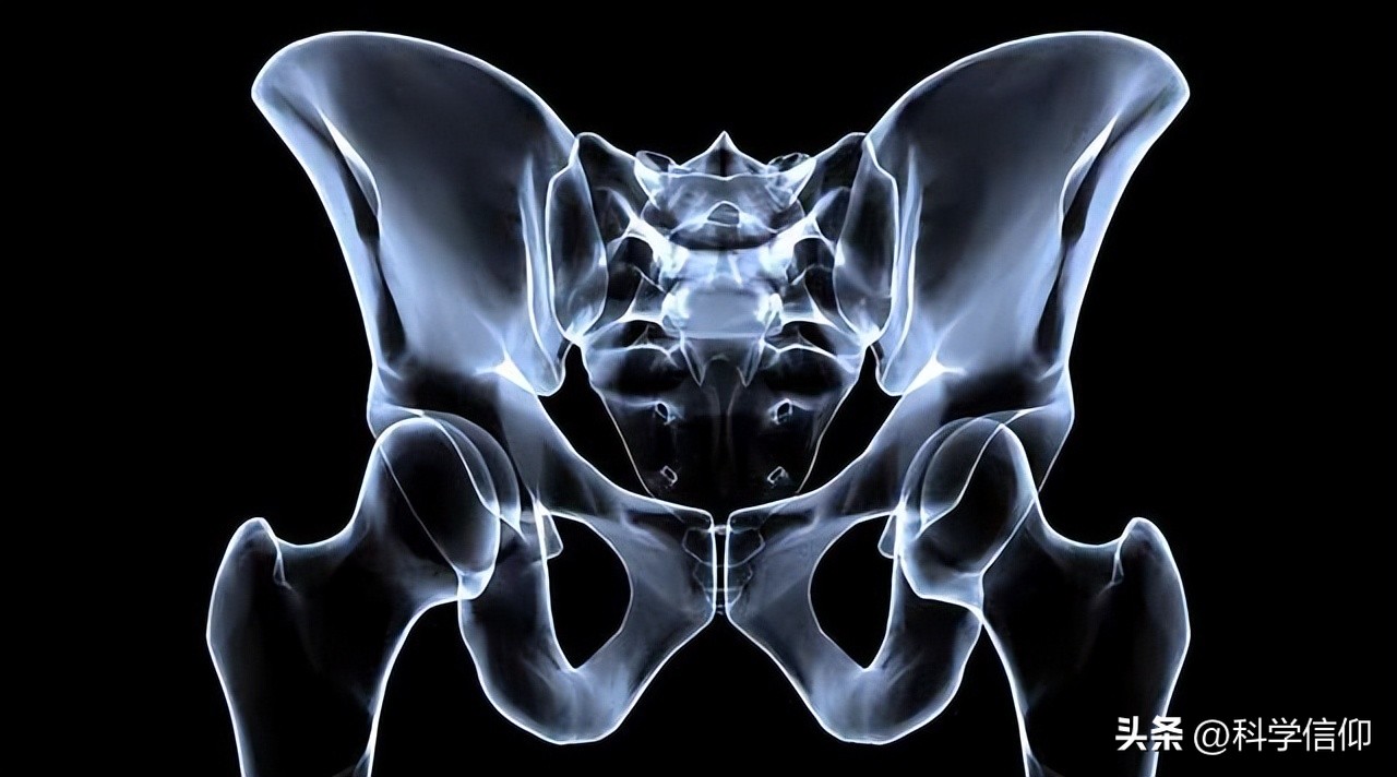 裆部很脆弱，撞到会很疼，男女谁更疼？