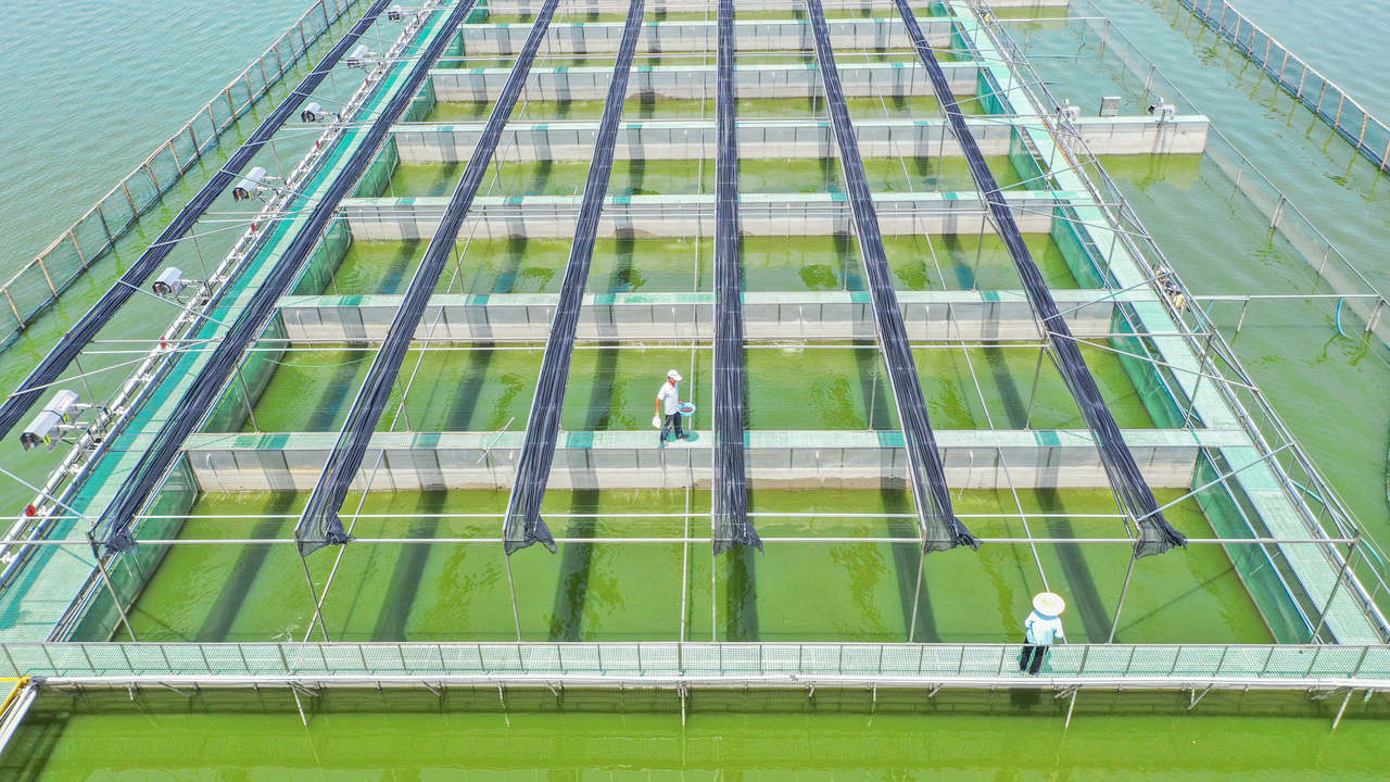 热销长三角南浔“鱼篓子”日渐壮大