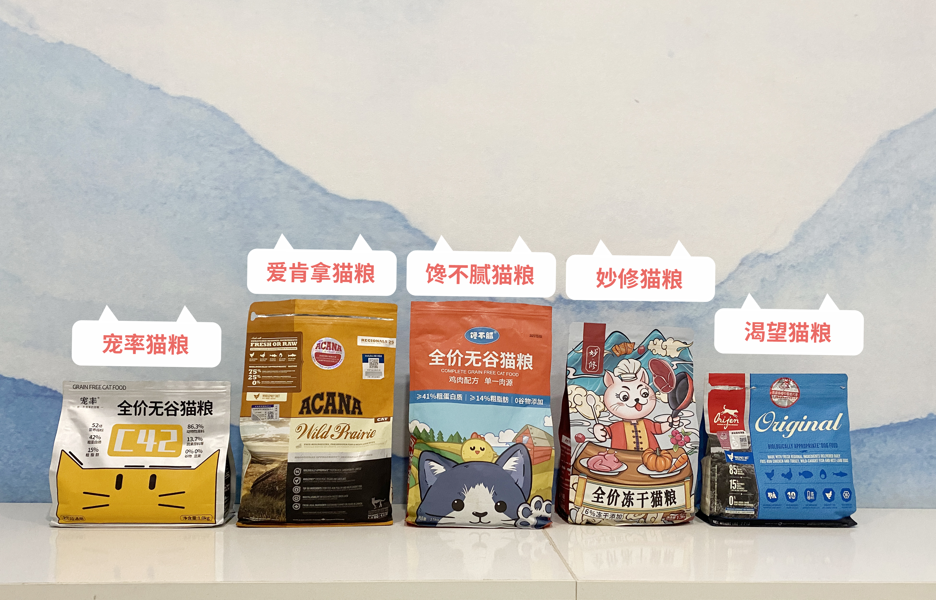 3-6个月的猫咪性格习惯养成,猫咪怎样才能让它变得听话乖巧