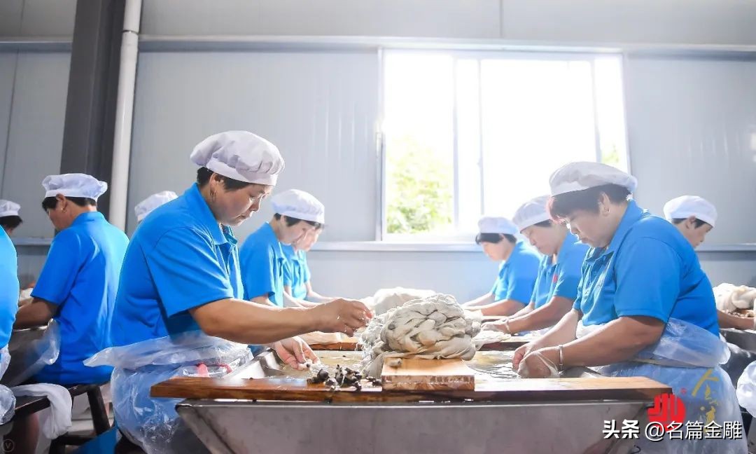 假一赔一万的蚕丝被可信吗,精品蚕丝被假一赔百