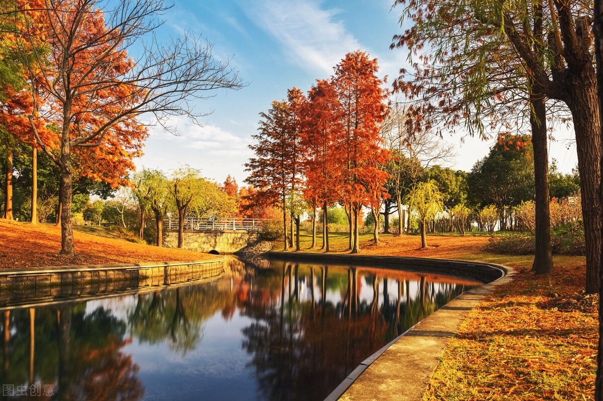 秋日上海好去处,上海秋日风景