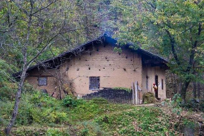 广东14岁少女被欺凌,花季少女被继父欺凌