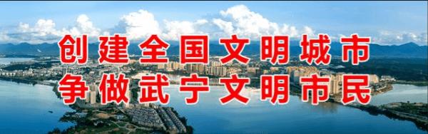 九江校园足球联赛,九江市第四届青少年足球比赛
