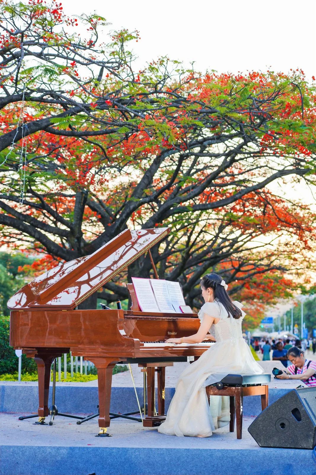 “1314”“520”！“一生一世，我爱你！”