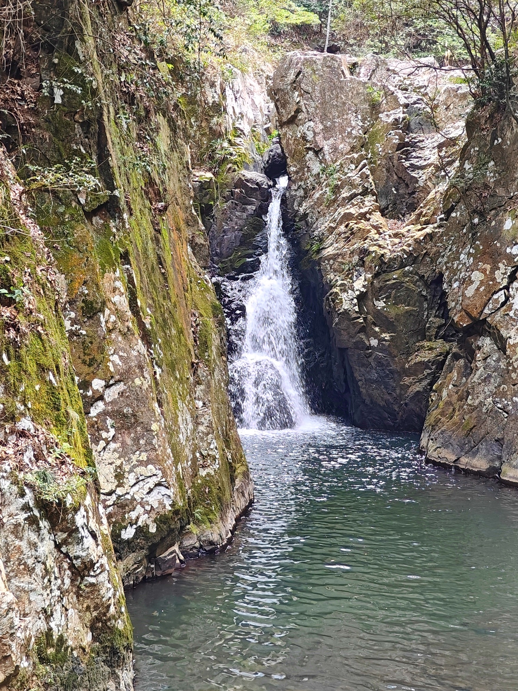 徒步三叠井森林公园，拥抱采兰溪，走进大自然