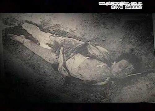 被诅咒的士兵免费观看完整版,德军332团幸存者