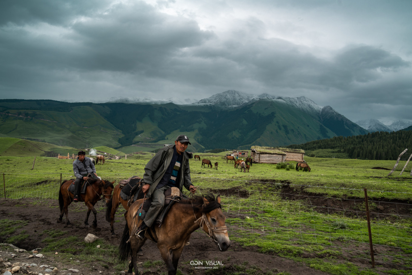 新疆伊犁之美,走了一圈才发现世界万物远不及你