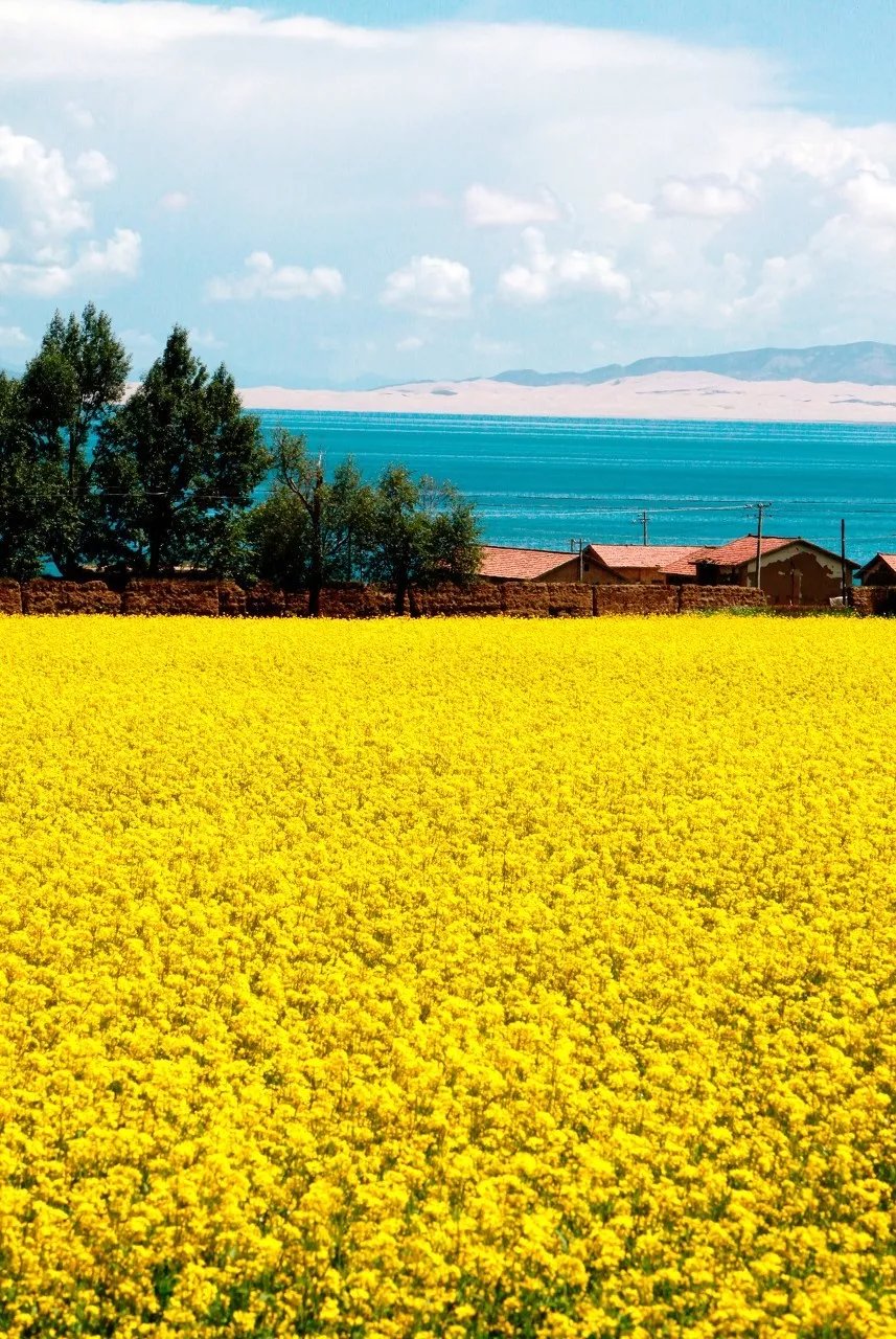 青海十大美湖排名,西藏十大最美湖排名