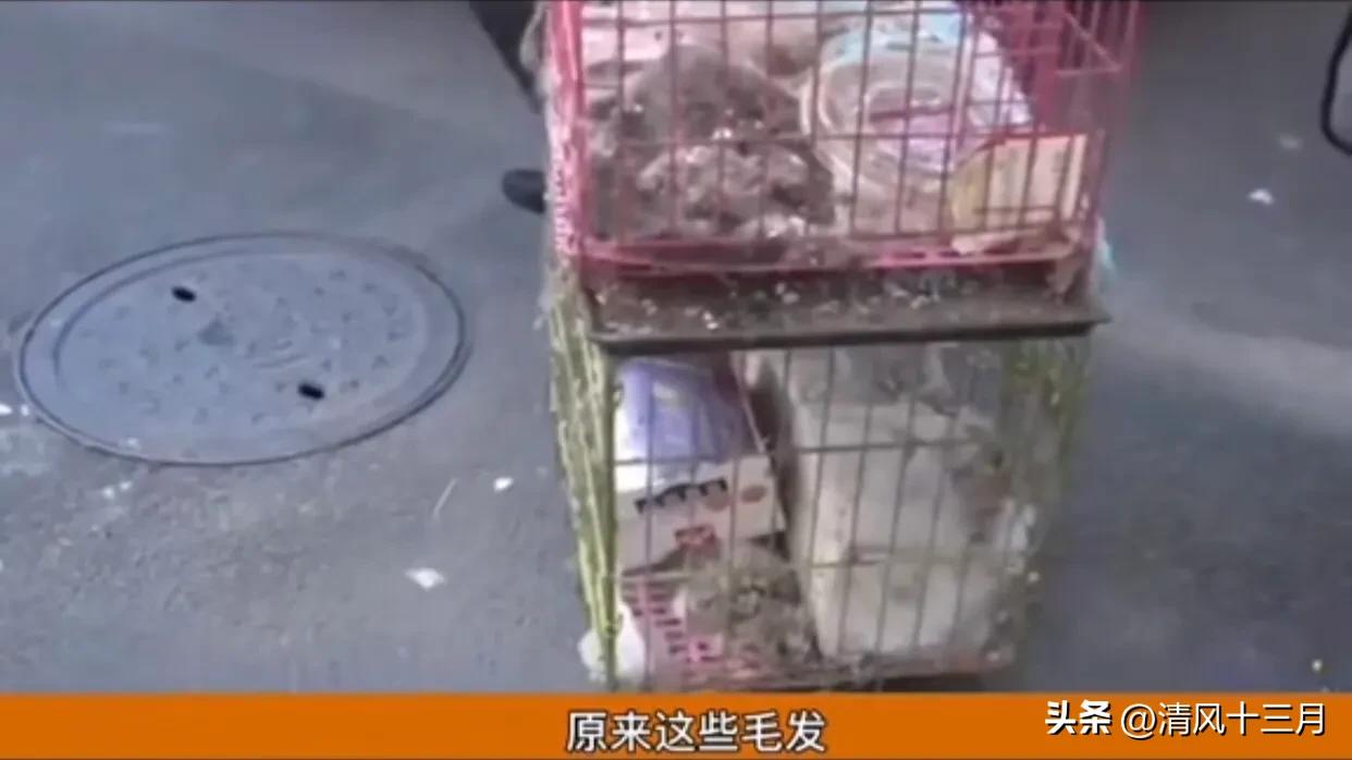 出租房租客不搬离怎么办,房屋出租他不给租金又不走怎么办